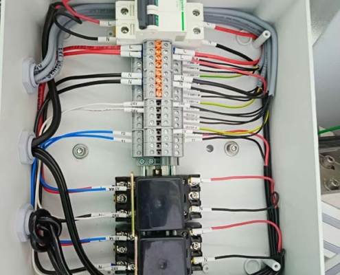 IMG_20250219_134553_977